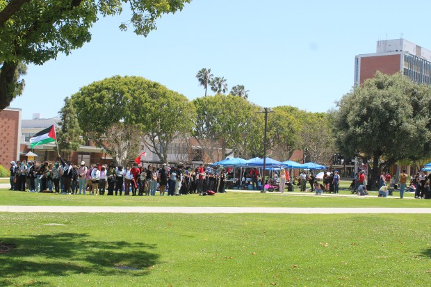 Students for Justice in Palestine at Cal State Long Beach...