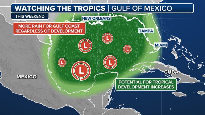 Gulf Potential Tropical Development